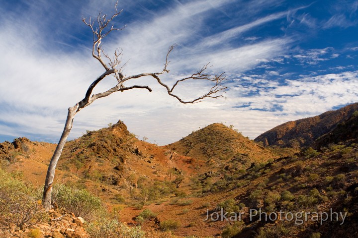 Larapinta_20080606_299 copy.jpg - East of Serpentine Gorge